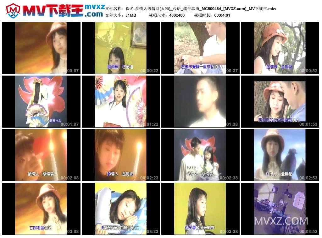 佚名-多情人逃情网(人物)_台语_流行歌曲_MC500484